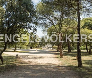 San Agustín del Guadalix, Community of Madrid 28750 - Photo 1