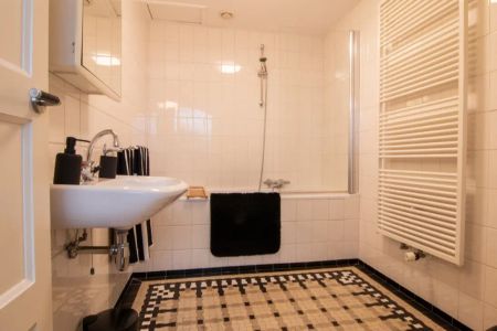 Tweede Jan van der Heijdenstraat 109 A - Foto 5