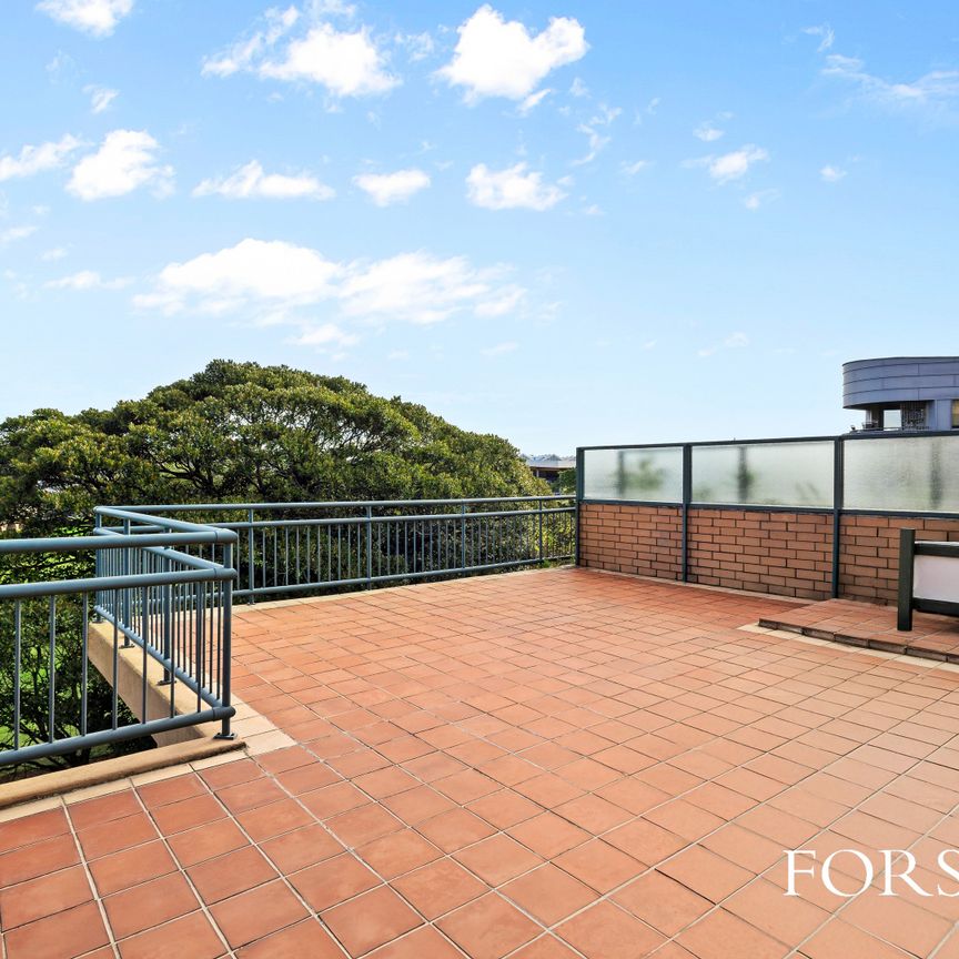 213/2-26 Wattle Crescent, Pyrmont NSW 2009 - Apartment For Rent | Domain - Photo 1