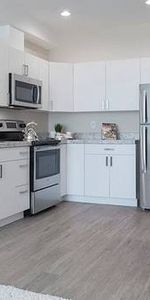 In-Suite Storage, Close to Public Transportation, 1/bd 1/ba - Photo 3