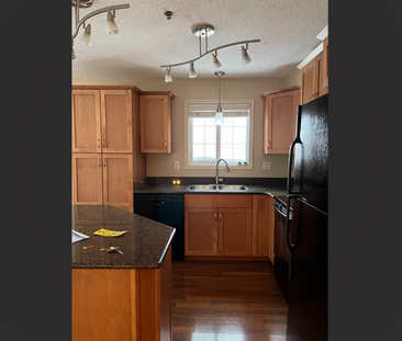 Fabulous 2 Bed 2 Bath Condo in Stonebridge - Photo 6