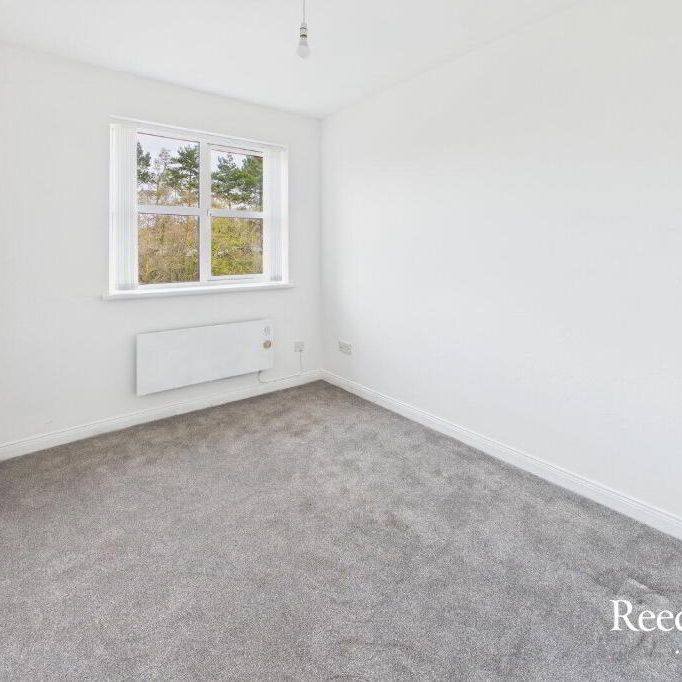 73c Movilla Road, Newtownards, BT23 8EZ - Photo 1