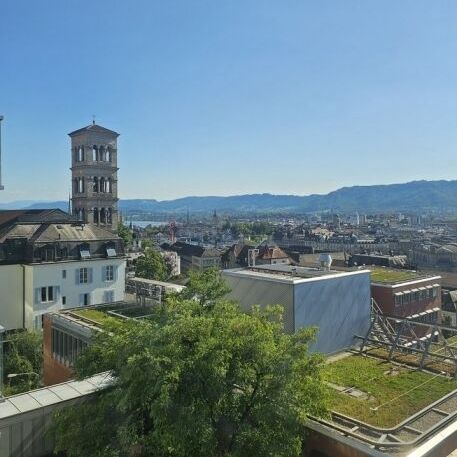Appartement exclusif au-dessus des toits de Zurich avec grande terrasse - Photo 1