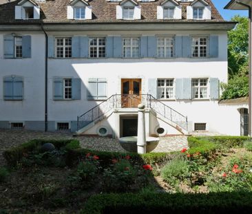 Historisches Refugium für Liebhaber; Maisonette in der Basler Altstadt - Photo 1