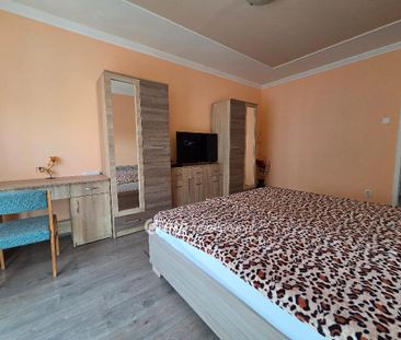 Vénkert, Hajdú-Bihar, 4027, Debrecen - Fotó 3