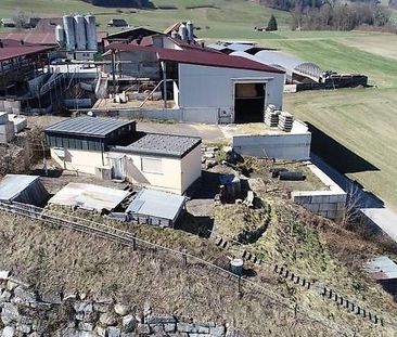 Hundehort mit behördlicher Baubewilligung sucht Nachfolger - Foto 4