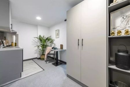 Silver Studio – Mid Floor - Photo 5