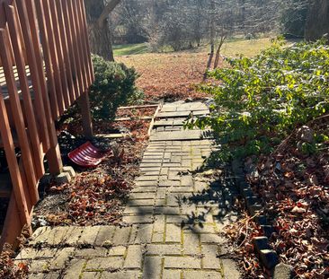 For Lease - 508 Stafford Drive Unit# Basement, Oakville, Ontario - Photo 2