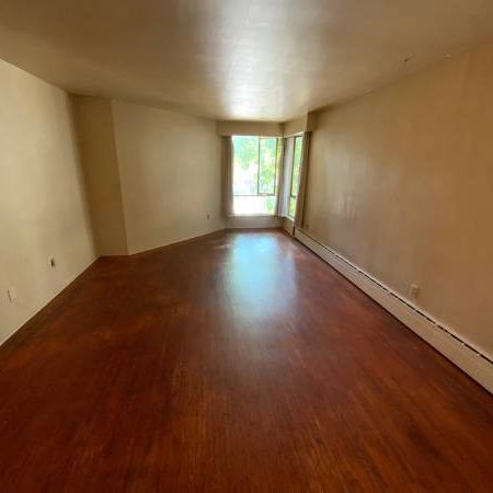 Marpole Studio for Rent !!! - Photo 1