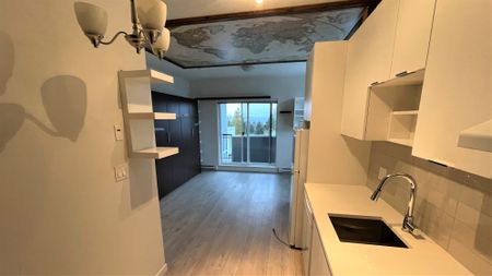 Bachelor Suite For Rent In Surrey/ Pets Allowed. - Photo 3