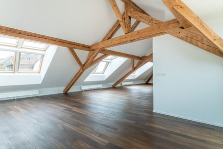 Einmalige Gelegenheit - wunderschöne Loftwohnung beim Zolli - Foto 5