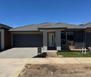 8 Buttercup Crescent, Armstrong Creek VIC 3217 - House For Rent | D... - Photo 4