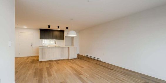 Appartement De 1 Chambre - Photo 3