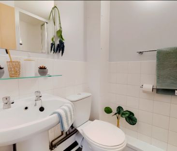 Platinum Mini Studio - Photo 4