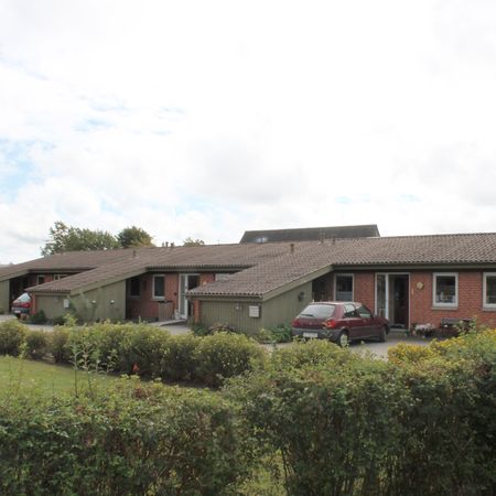 Kildeparken 1-8 - Gudumholm - Photo 4