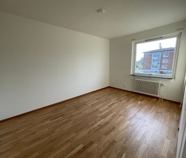 Ollenicklas väg, Vänersborg - Foto 2