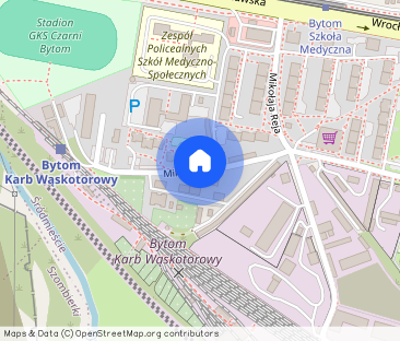 Mikołaja Reja 13, kawalerka przyjazna dla zwierząt - Photo 1