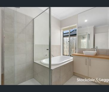 A cut above the rest! - Photo 3