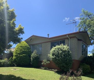 Sitting High on Highland - Photo 1