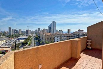 Alicante, Valencian Community 03710