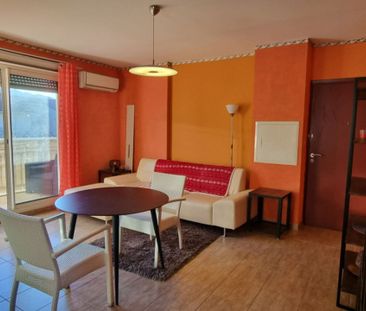 LOCATION : appartement F2 meublé (46 m²) à LUCCIANA - Photo 4