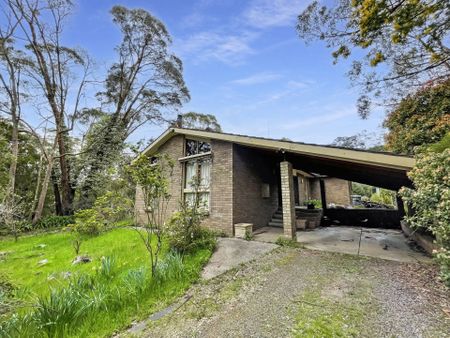 21 Janson Road, Brown Hill - Photo 5
