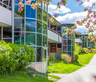 Skyttegatan 15B - Foto 6