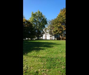 1 Bed Flat, Llewellyn Street, SE16 - Photo 4