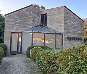 Appartement te huur in Bierbeek voor € 760 met 1 slaapkamer - Foto 3