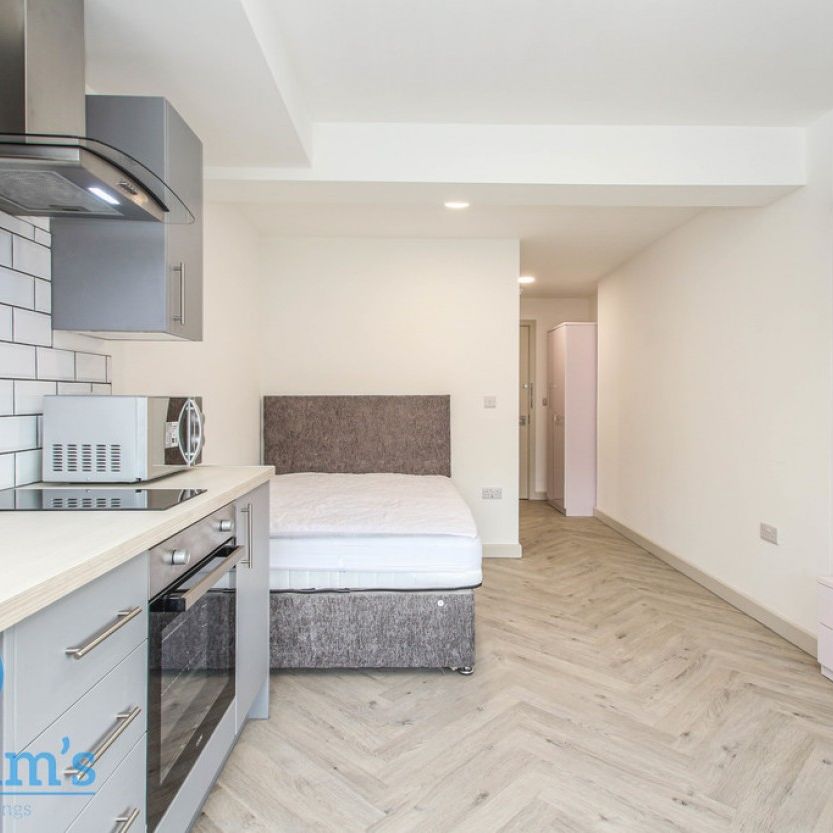 1 bed Studio for Rent - Photo 1