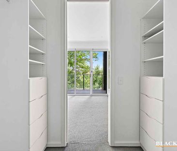 Extra Large One Bedroom Apartment in the Parliamentary Triangle - Photo 2