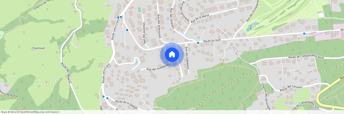 3963, Crans-Montana, Rue de la Verdure, 8