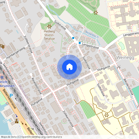 Flühgasse 49, 8008 Zürich