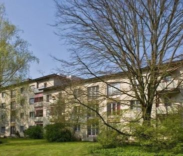 Looking for a cozy 3-room apartment in Birsfelden? - Photo 1