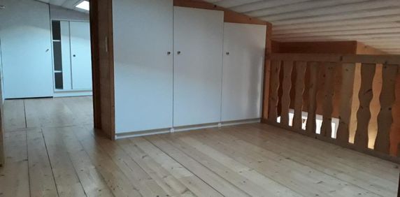 Location Appartement 1 pièce 25m² CHALLES LES EAUX 73190 - Photo 2