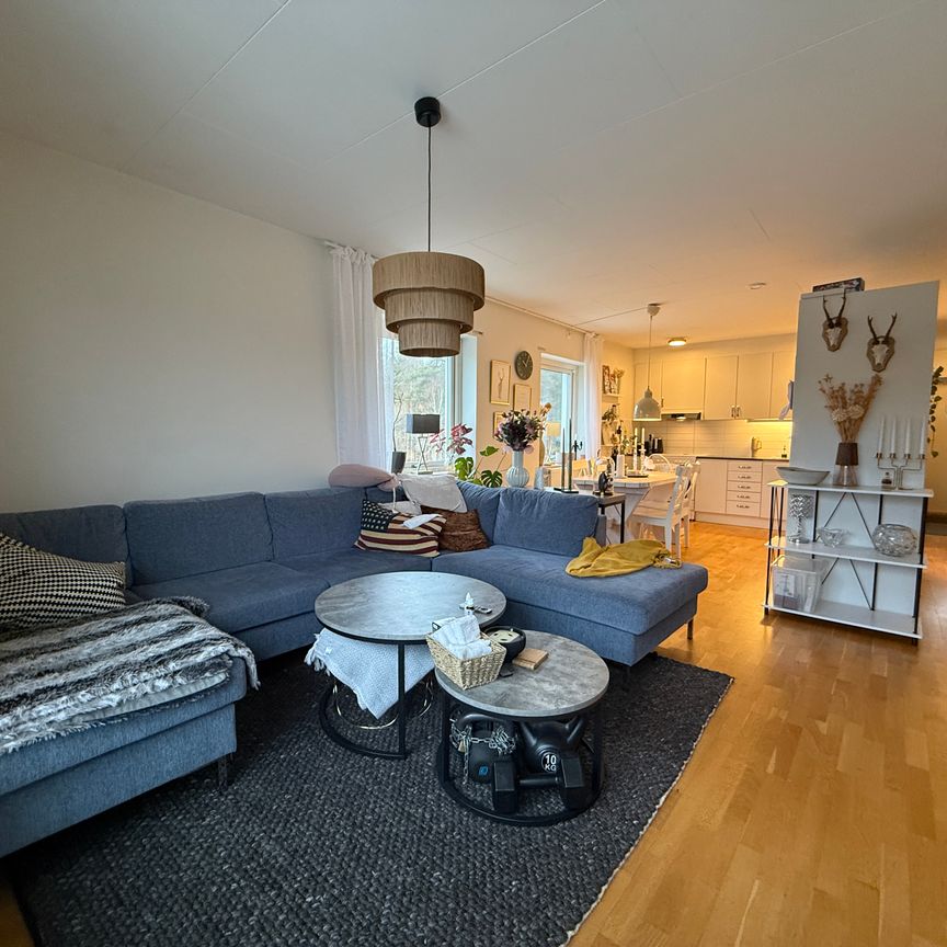 Planetvägen, Växjö - Foto 1