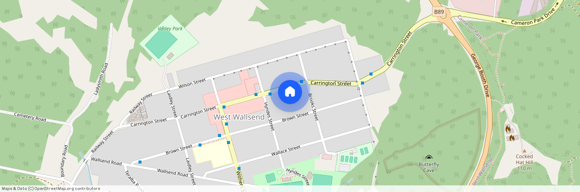 40 Carrington Street, NSW 2286, West Wallsend