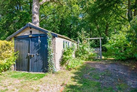 3 bedroom house to rent - Photo 4