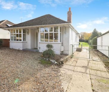 2 bedroom detached bungalow to rent - Photo 6