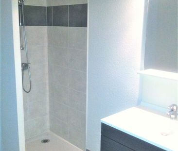 Location Appartement 1 pièce 24m² ST HERBLAIN 44800 - Photo 2