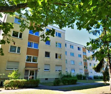 3-Zimmer-Wohnung mit Balkon in Frankenthal (Pfalz) mieten - Foto 1