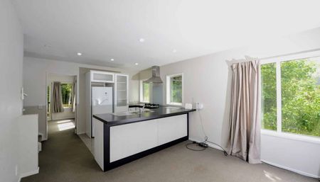 Spacious four-bedroom Aro Valley home - Photo 4