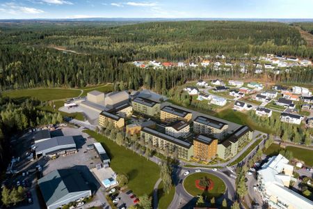 Fru Lovisas Gata 11 - Photo 5