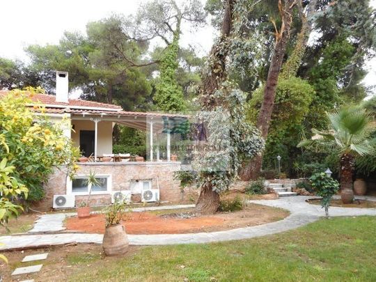 Μονοκατοικία για ενοικίαση Καστρί - Πολιτεία (Νέα Ερυθραία) - Photo 1