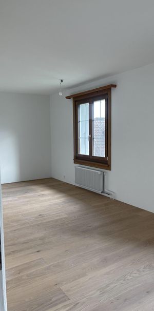 Grosszügige, neu sanierte 3.5-Zimmerwohnung - Photo 1