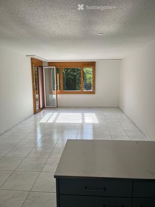 Reizende 2.5-Zimmer-Wohnung mit Terrasse in Dübendorf - Photo 1