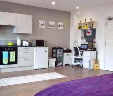 Luxury Studio - Photo 5