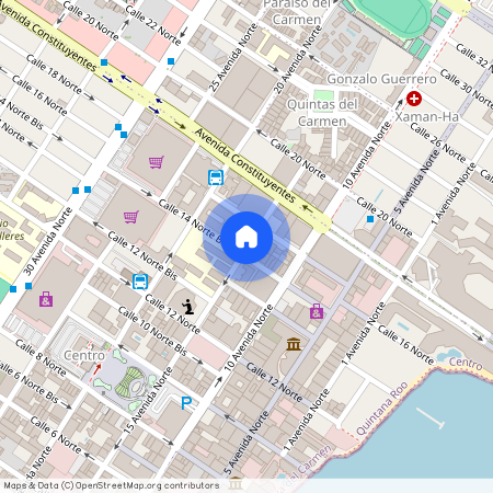 CFE, Avenida 15 Norte, Centro, 77720 Playa del Carmen, ROO, Mexico