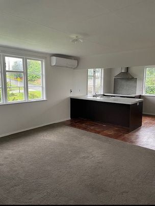 Newly Renovated 3 Bedroom Home - Photo 1