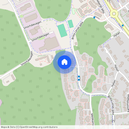 Britta Lenas gata 14, Västra